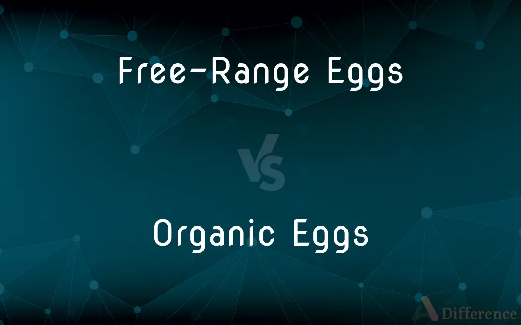 Free-Range Eggs vs. Organic Eggs — What's the Difference?