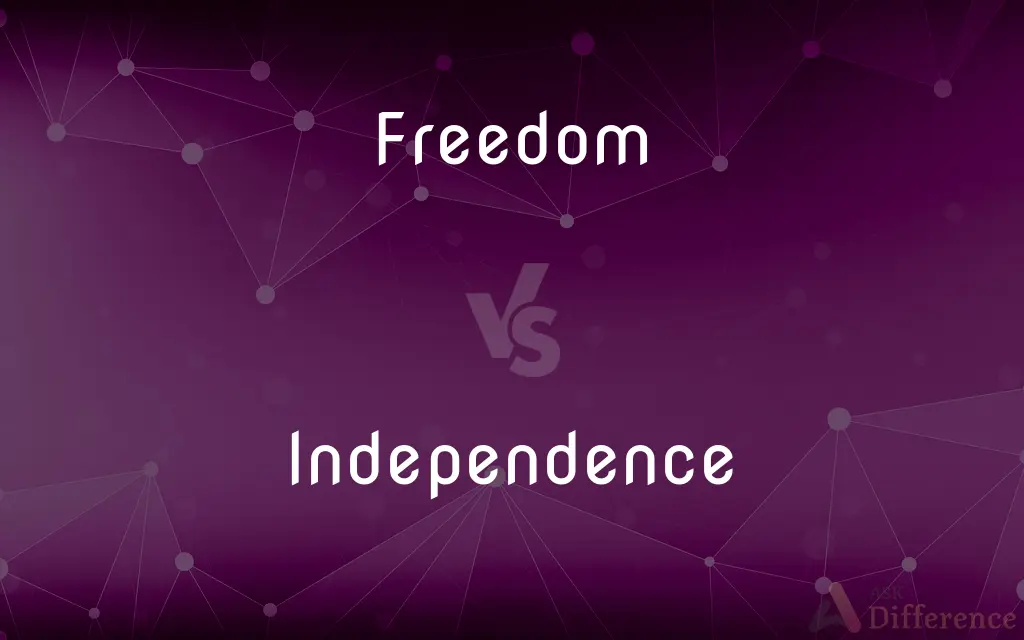 Freedom vs. Independence — What's the Difference?