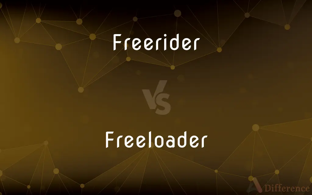 Freerider vs. Freeloader — What's the Difference?