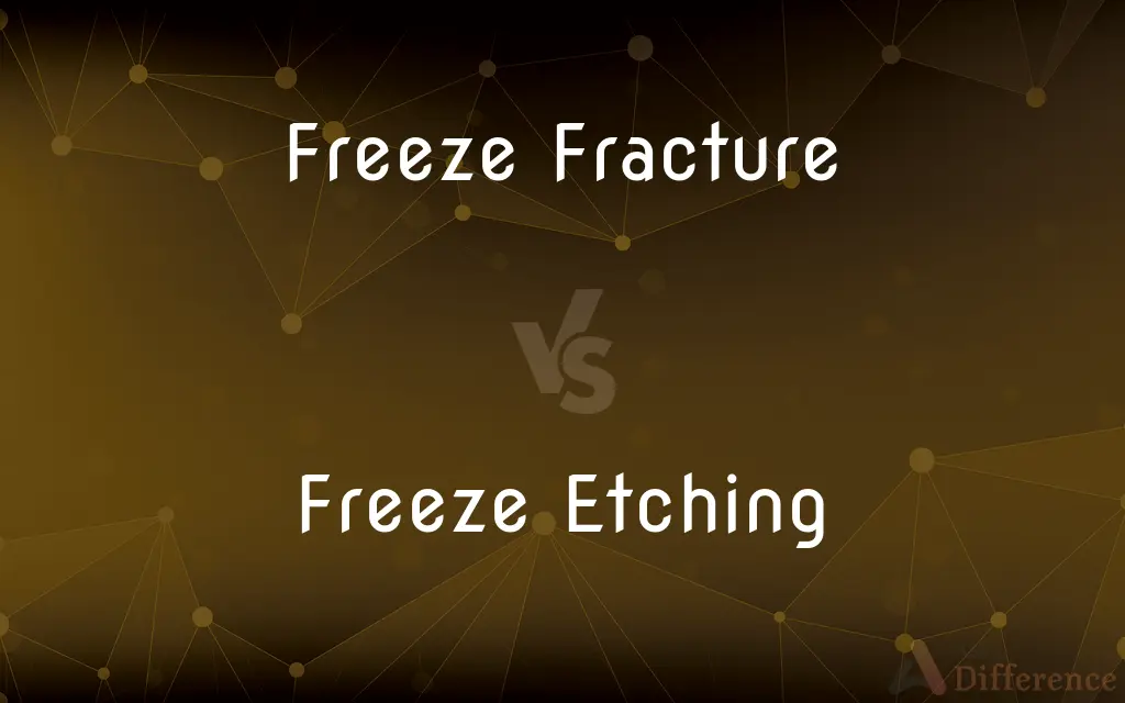 Freeze Fracture vs. Freeze Etching — What's the Difference?