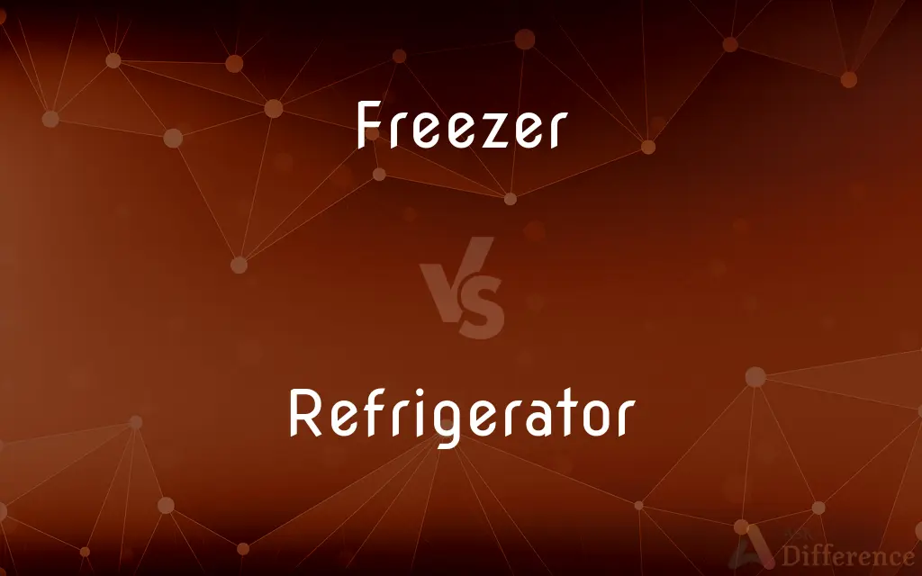 Freezer vs. Refrigerator — What's the Difference?