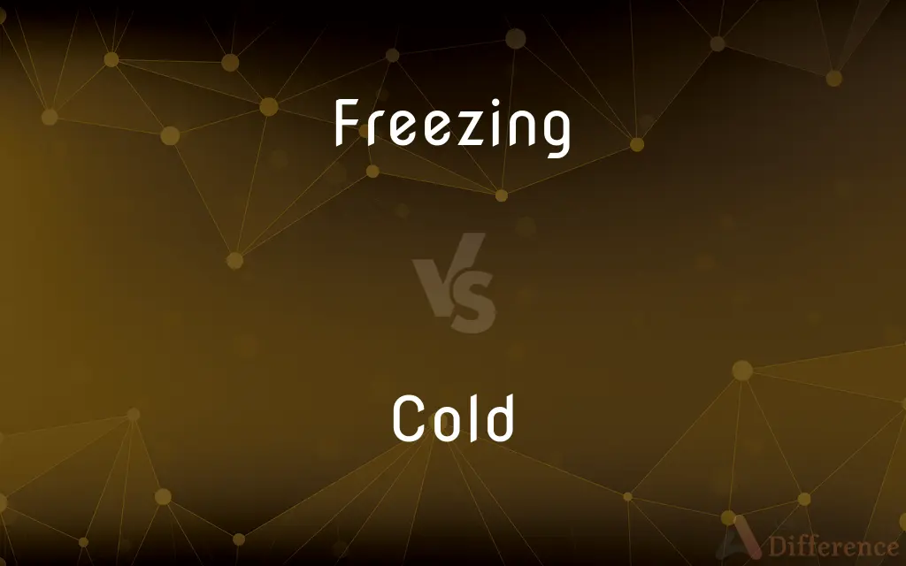 Freezing vs. Cold — What's the Difference?