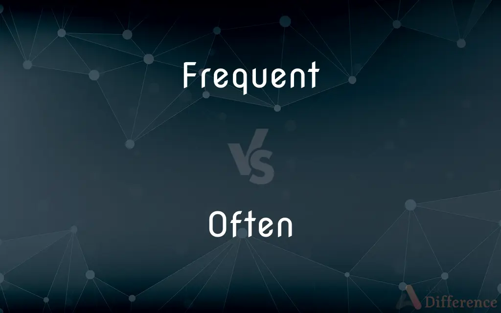Frequent vs. Often — What's the Difference?