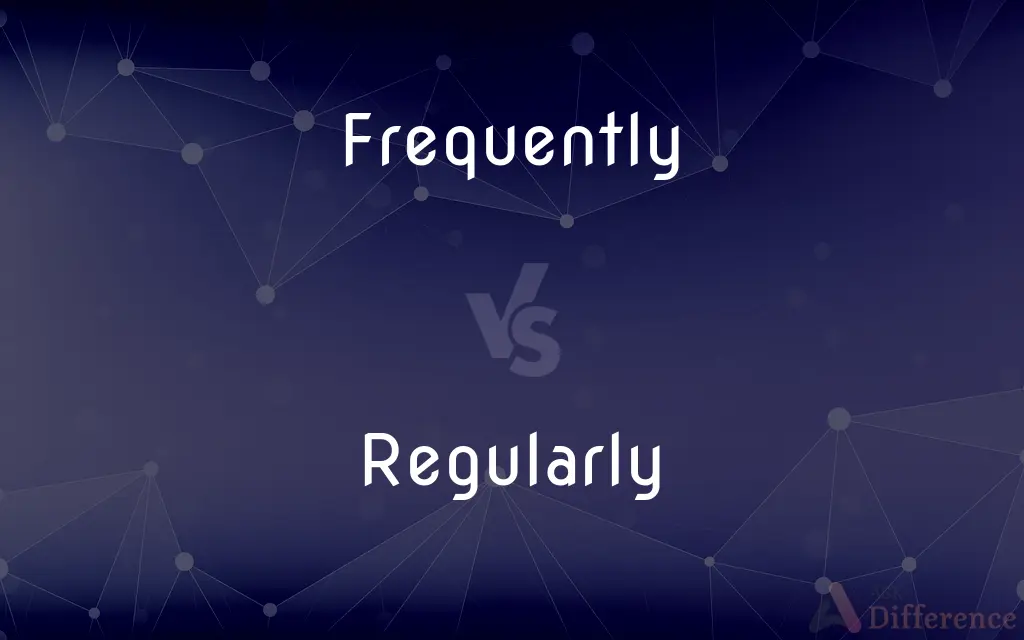 Frequently vs. Regularly — What's the Difference?