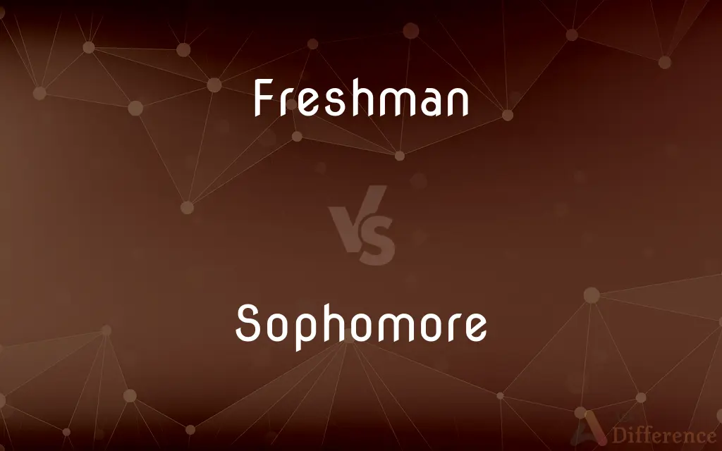 Freshman vs. Sophomore — What's the Difference?