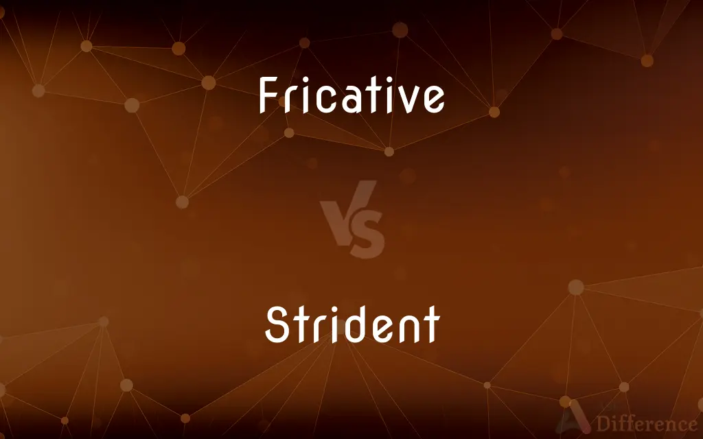 Fricative vs. Strident — What's the Difference?