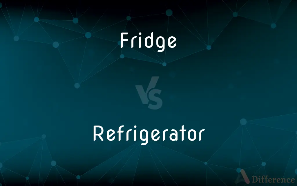 Fridge vs. Refrigerator — What's the Difference?