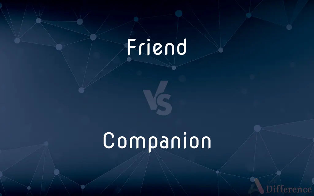 Friend vs. Companion — What's the Difference?
