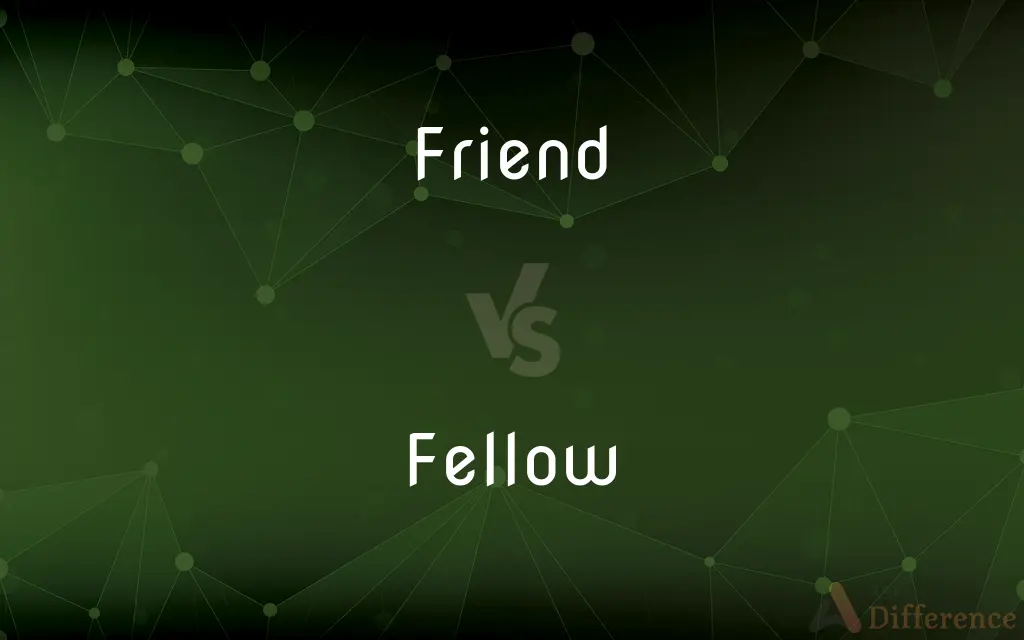 Friend vs. Fellow — What's the Difference?