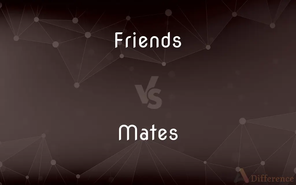 Friends vs. Mates — What's the Difference?