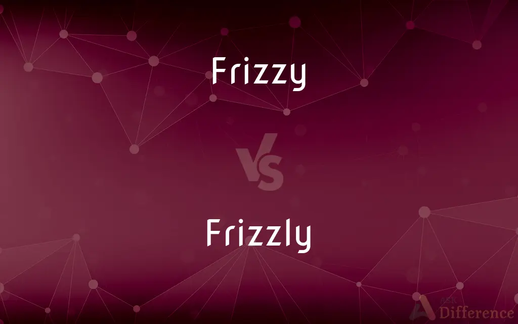 Frizzy vs. Frizzly — What's the Difference?