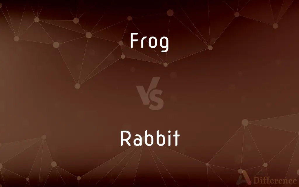 Frog vs. Rabbit — What's the Difference?