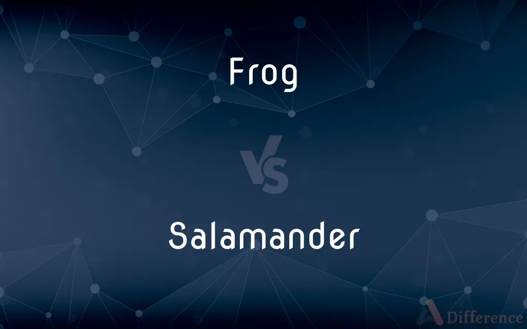 Frog vs. Salamander — What's the Difference?