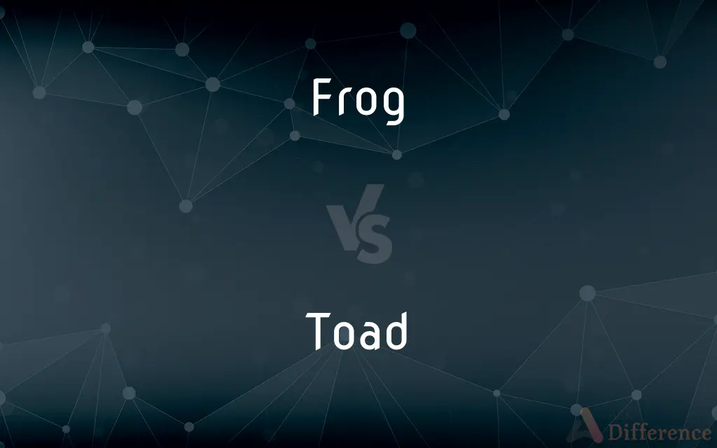 Frog vs. Toad — What's the Difference?