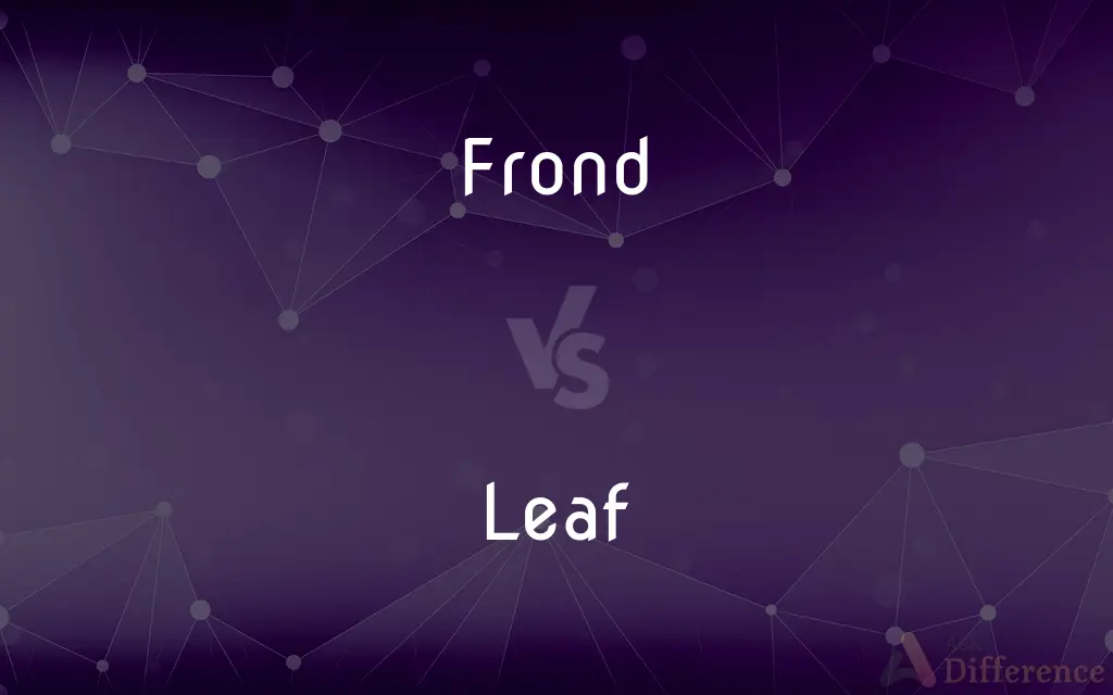 Frond vs. Leaf — What's the Difference?