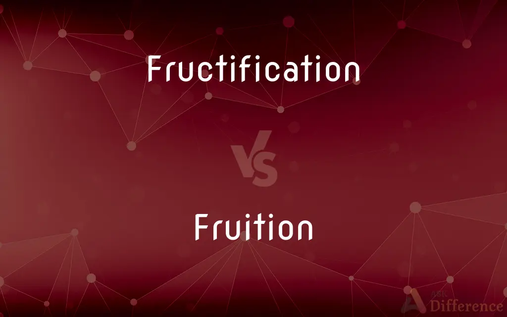 Fructification vs. Fruition — What's the Difference?
