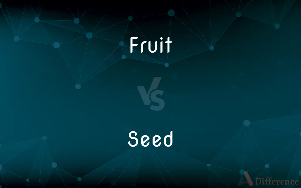 Fruit vs. Seed — What's the Difference?