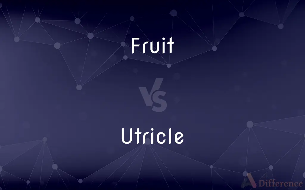 Fruit vs. Utricle — What's the Difference?