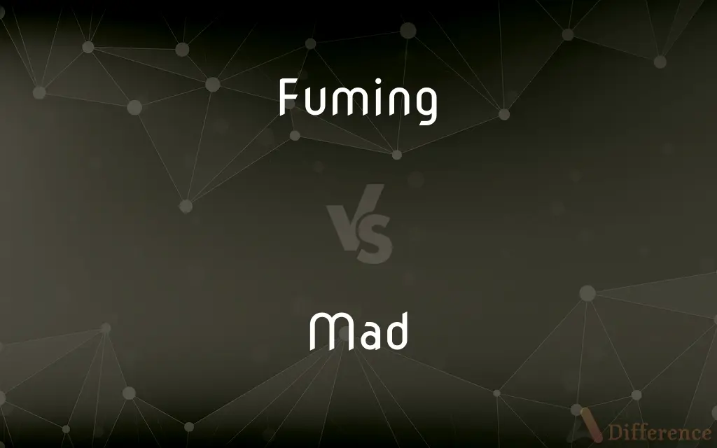 Fuming vs. Mad — What's the Difference?