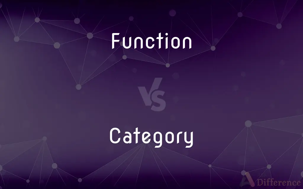 Function vs. Category — What's the Difference?