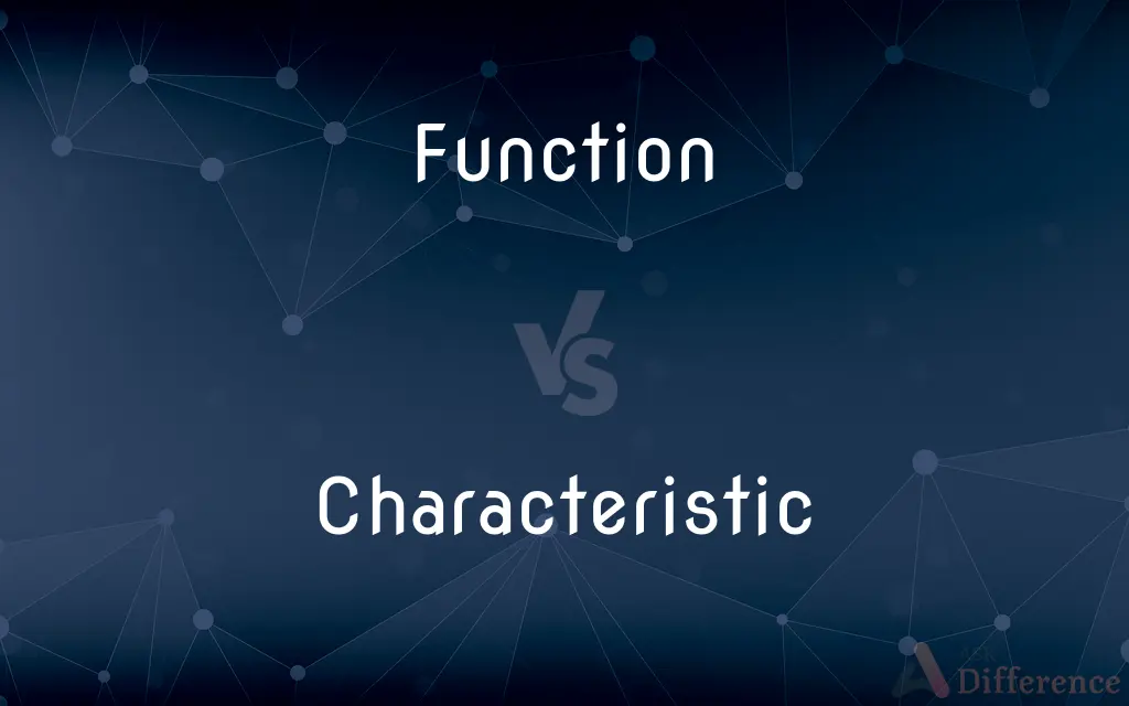 Function vs. Characteristic — What's the Difference?