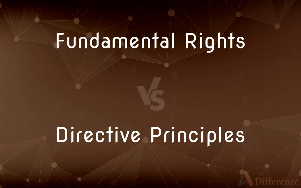 Fundamental Rights vs. Directive Principles — What's the Difference?