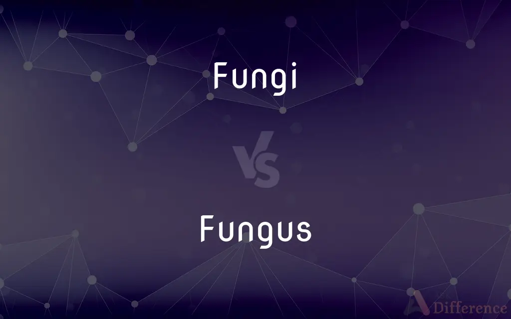Fungi vs. Fungus — What's the Difference?