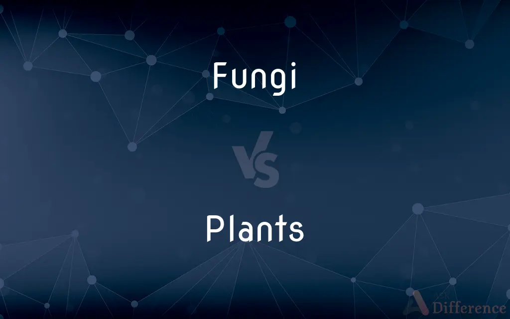 Fungi vs. Plants — What's the Difference?