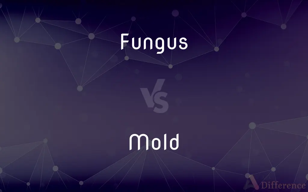 Fungus vs. Mold — What's the Difference?