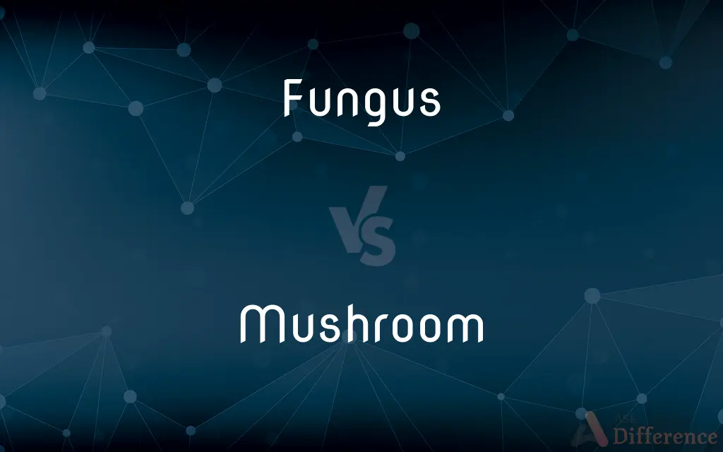 Fungus vs. Mushroom — What's the Difference?