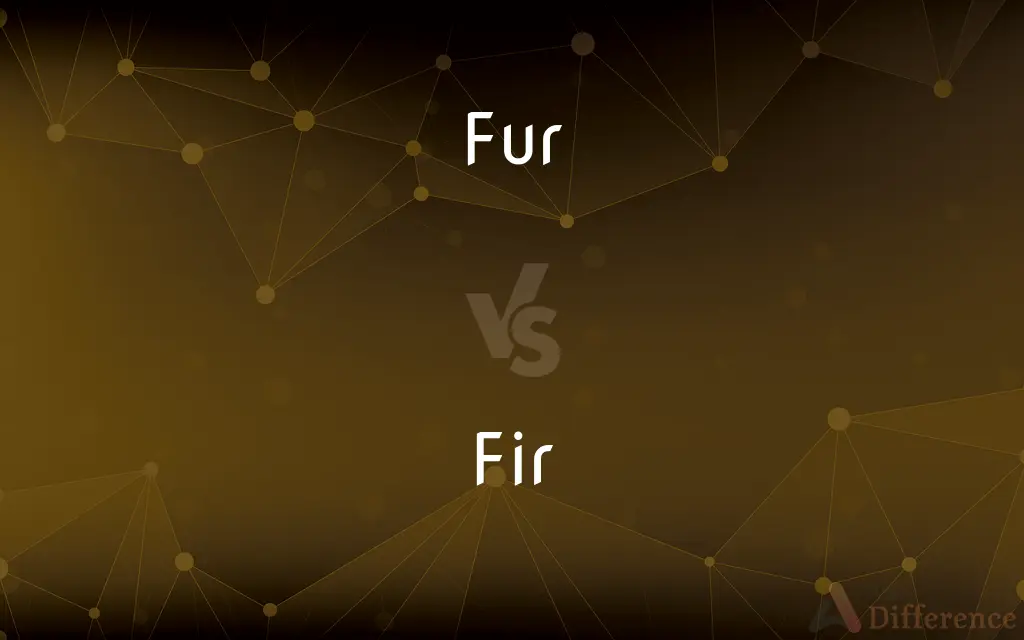 Fur vs. Fir — What's the Difference?