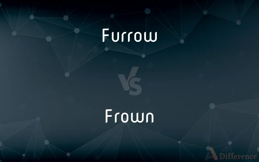 Furrow vs. Frown — What's the Difference?