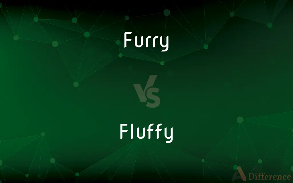 Furry vs. Fluffy — What's the Difference?