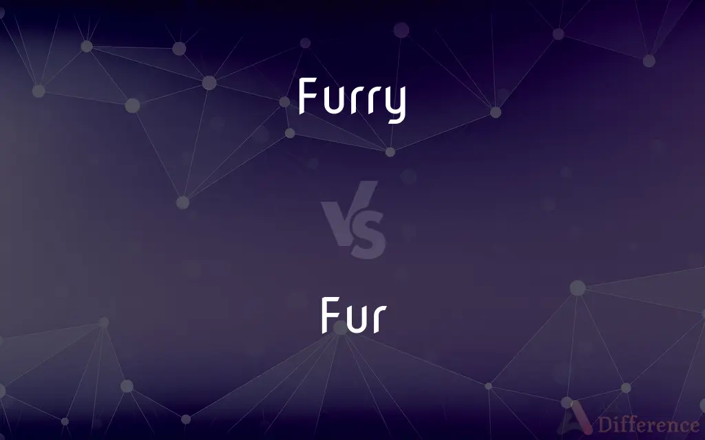 Furry vs. Fur — What's the Difference?