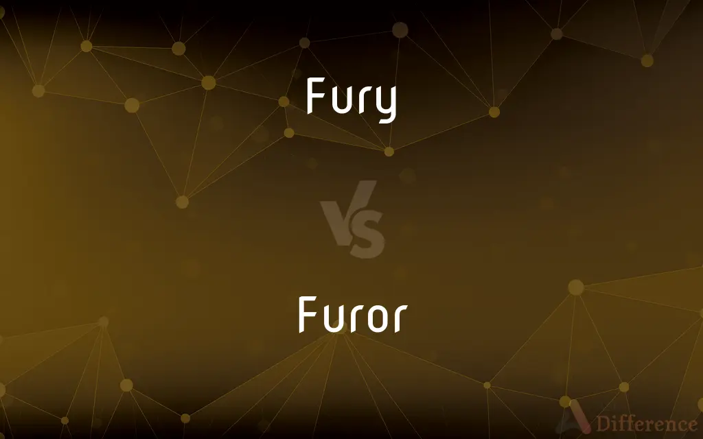 Fury vs. Furor — What's the Difference?