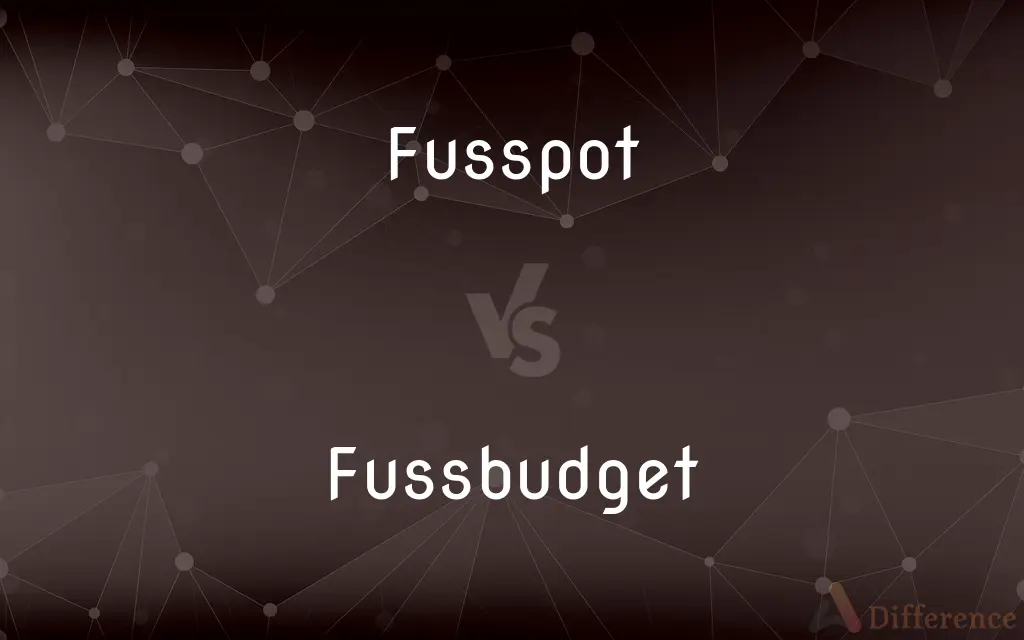 Fusspot vs. Fussbudget — What's the Difference?