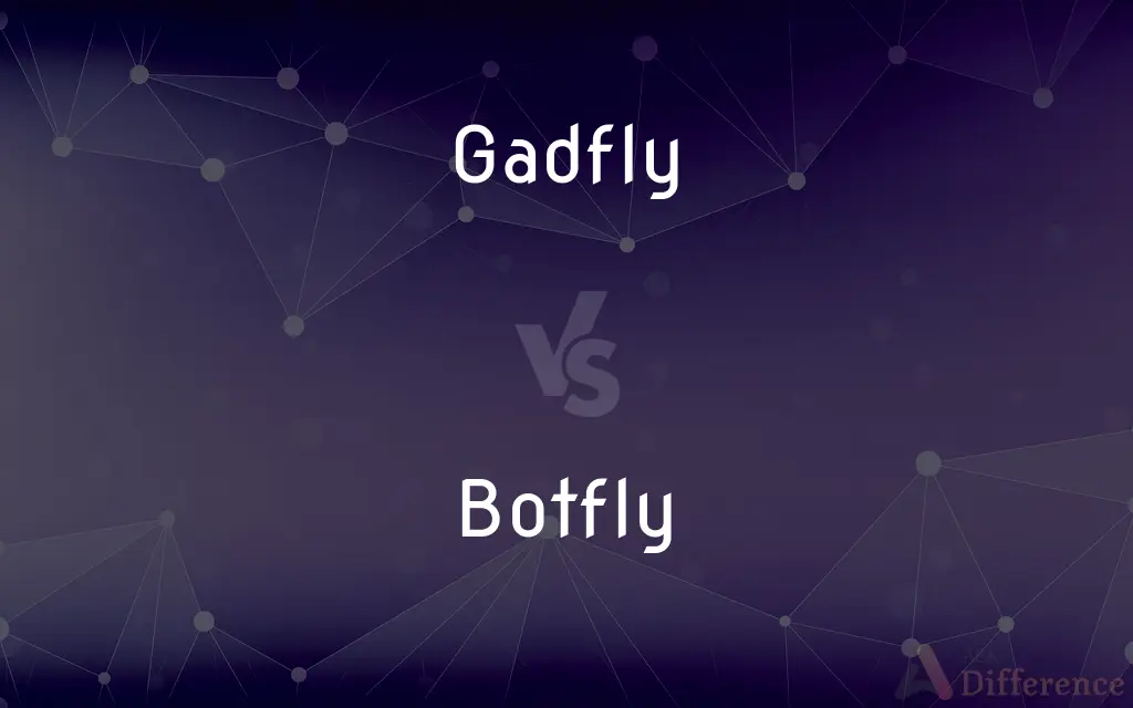 Gadfly vs. Botfly — What's the Difference?