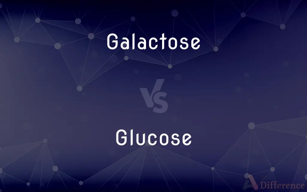 Galactose vs. Glucose — What's the Difference?