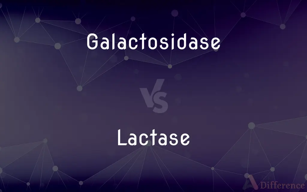 Galactosidase vs. Lactase — What's the Difference?