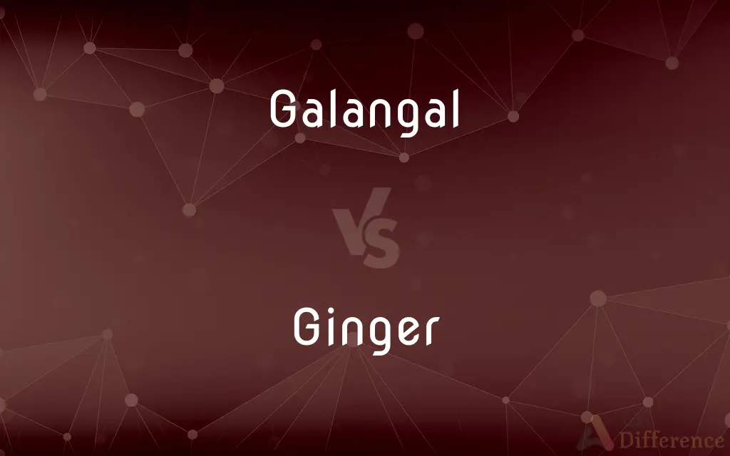 Galangal vs. Ginger — What's the Difference?