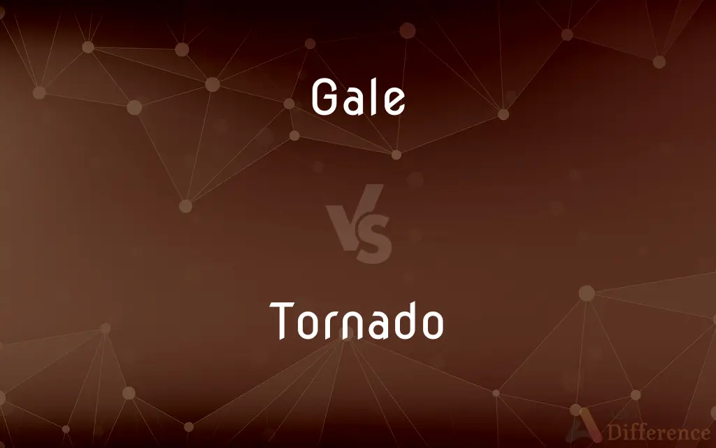 Gale vs. Tornado — What's the Difference?