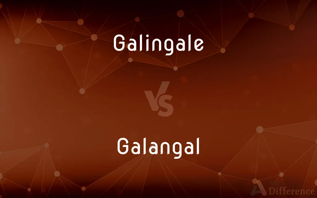 Galingale vs. Galangal — What's the Difference?