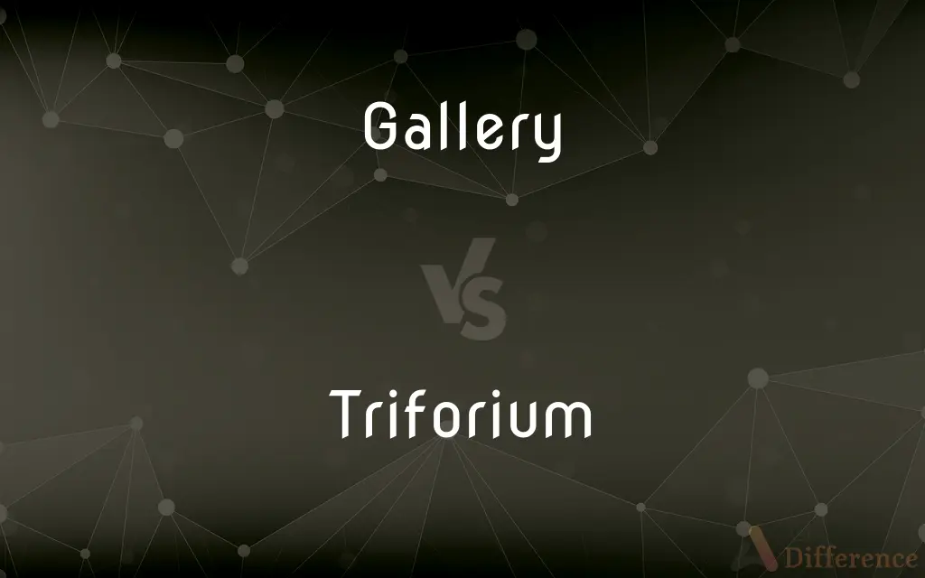Gallery vs. Triforium — What's the Difference?