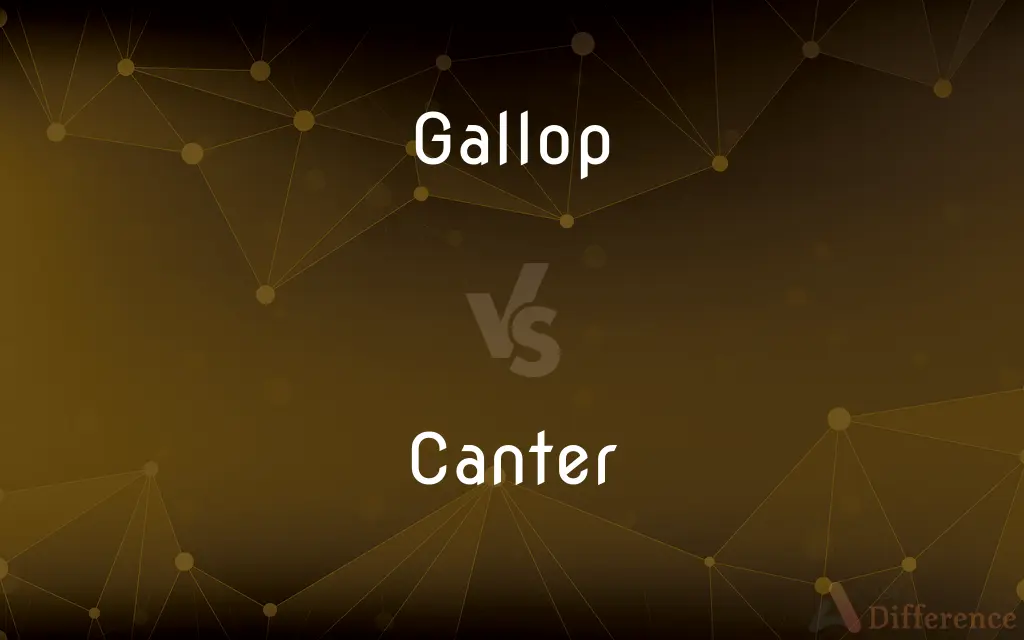 Gallop vs. Canter — What's the Difference?