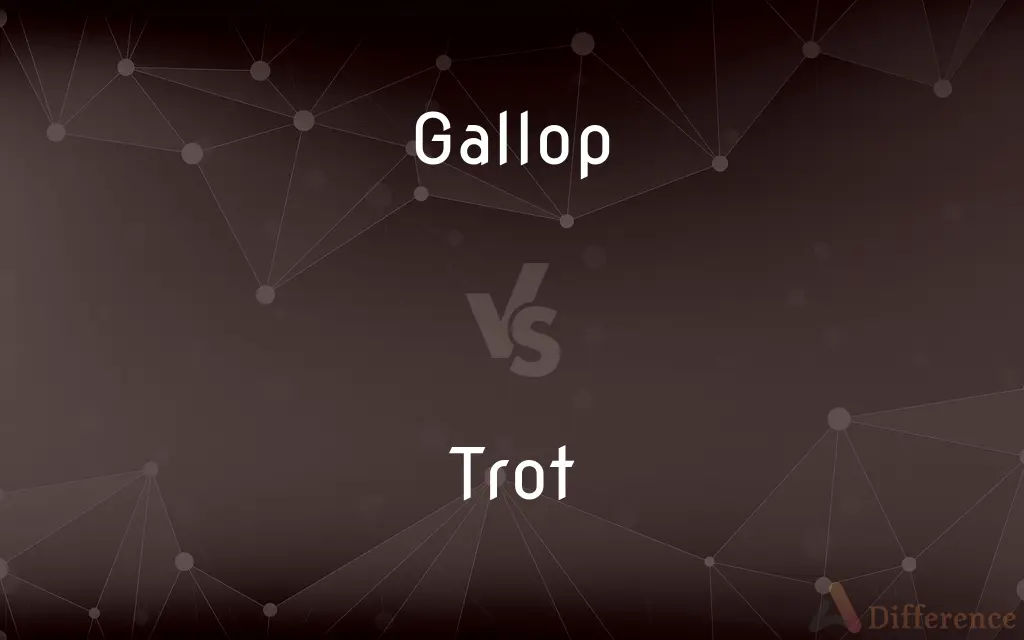 Gallop vs. Trot — What's the Difference?
