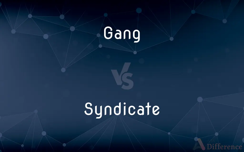 Gang vs. Syndicate — What's the Difference?
