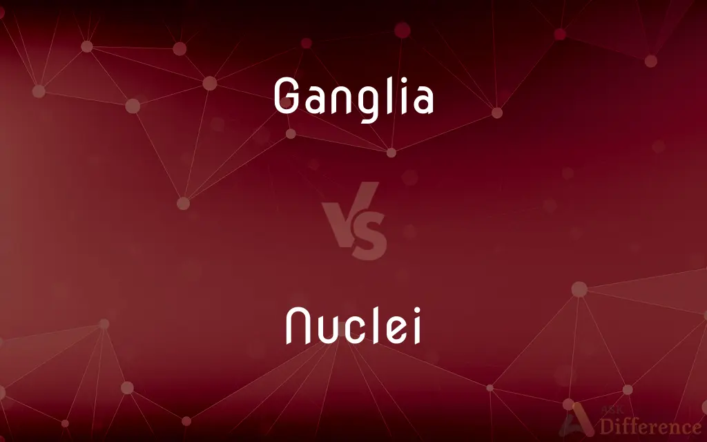 Ganglia vs. Nuclei — What's the Difference?