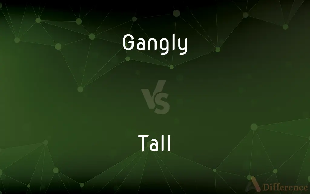 Gangly vs. Tall — What's the Difference?