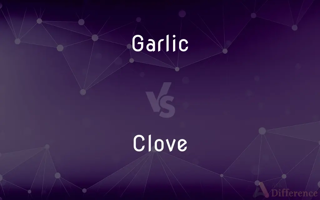 Garlic vs. Clove — What's the Difference?