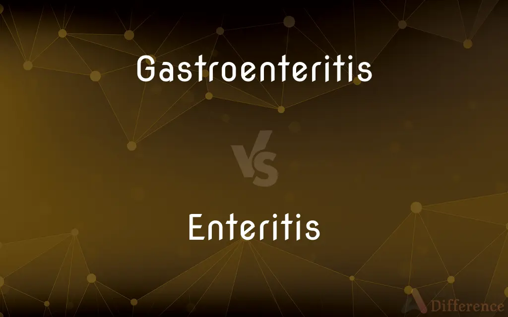 Gastroenteritis vs. Enteritis — What's the Difference?